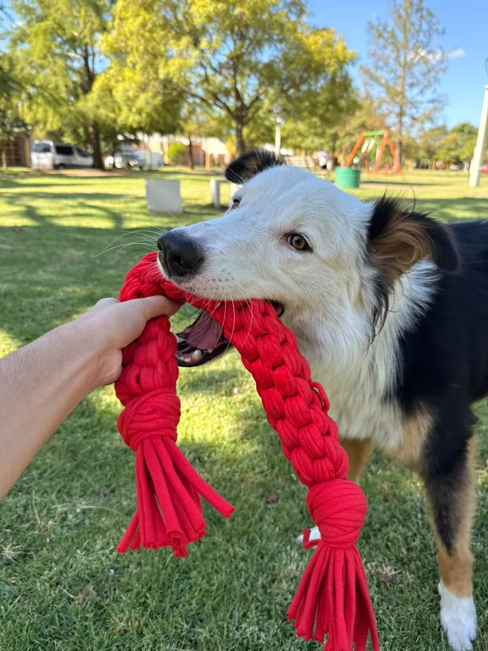 Soga Flex roja trenzada de algodón